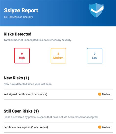 SSLyze Online Scan .